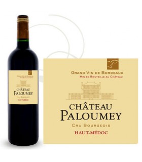 AOC HAUT MEDOC AILES DE PALOUMEY ROUGE 75CL