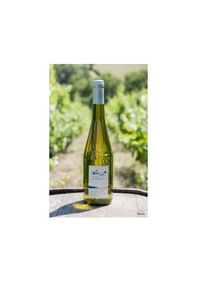 MUSCADET  LES CHAILLOUX COTEAUX DU LOIRE 75 CL GALLOIRES