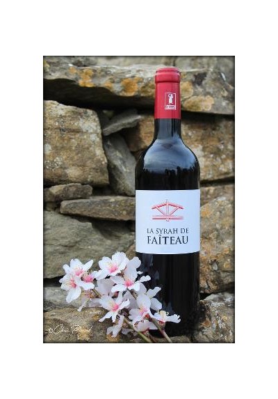 IGP OC SYRAH FAITEAU ROUGE 2015