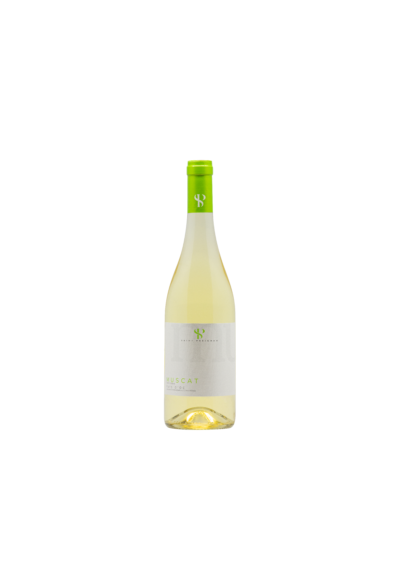 IGP OC MUSCAT PETIT GRAIN BLANC 75CL DOMAINE DE SAINT PREIGNAN