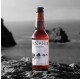 TERENEZ BIERE PEN HIR  33CL