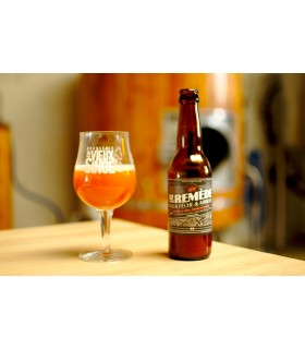 BIERE VIEUX SINGE LE REMEDE PECHE/ABRICOT 33CL BRETAGNE 4%