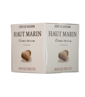 IGP COTES DE GASCOGNE DOMAINE HAUT MARIN ROUGE 5L