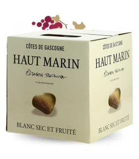 IGP COTES DE GASCOGNE DOMAINE HAUT MARIN BLANC 5L