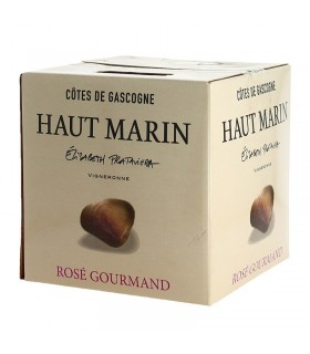 IGP COTES DE GASCOGNE DOMAINE HAUT MARIN ROSE 5L