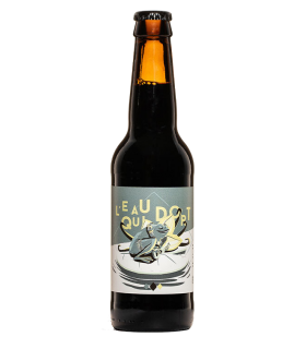 BIERE VIEUX SINGE EAU QUI DORT (STOUT VANILLE) 33CL BRETAGNE