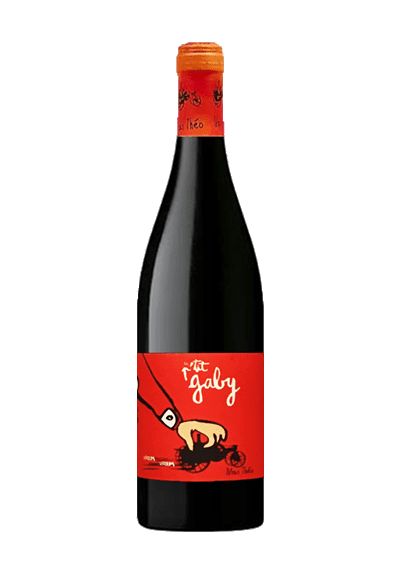VDF P'TIT GABY ROUGE 75CL DOMAINE MAS THEO