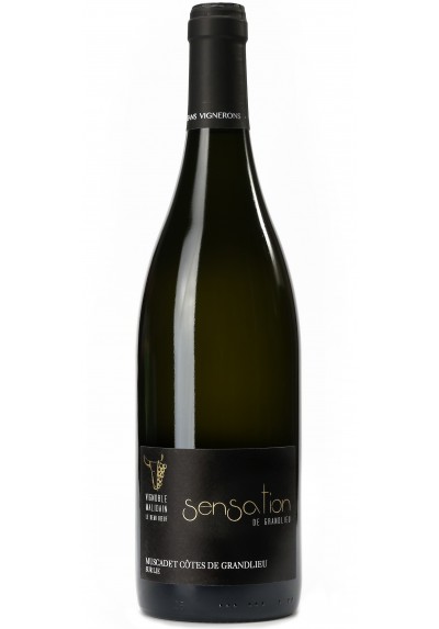 MUSCADET - Sensation de Grandlieu - 75cl