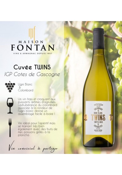 Maison Fontan - Twins - Blanc 75cl