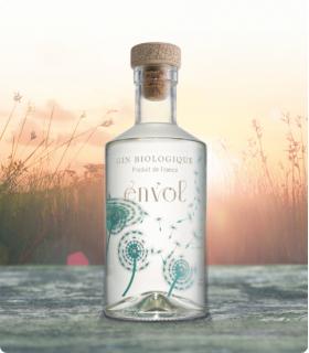 GIN ENVOL 40% 50CL