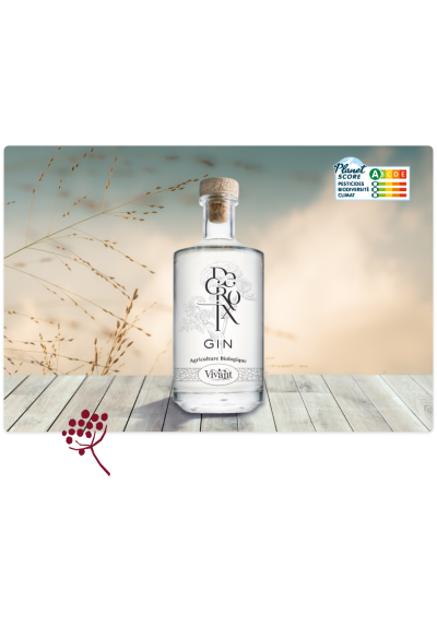 GIN DECROIX ALCOOLS VIVANT CHARENTE 45% 70CL  BIO