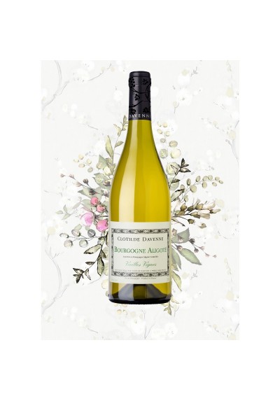 AOP BOURGOGNE ALIGOTE CLOTILDE DAVENNE 75cl