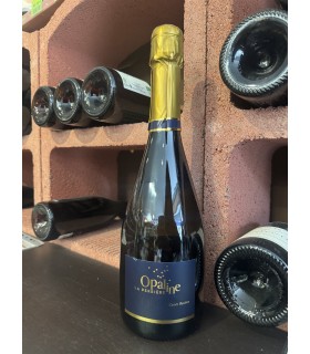 Méthode Traditionnelle Brut Blanc Cuvée Bastien VINCENT LOIRET 75cl