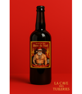 Bière de Noël Brasserie et Distillerie de Dinan 75cl