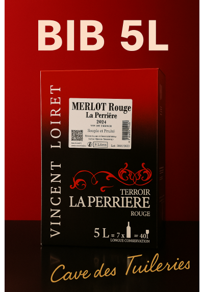 VDF MERLOT  BIB 5L RG LOIRET