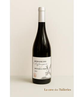 MOULIN A VENT Rouge Domaine des chaffangeons 75cl