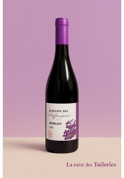 MORGON Rouge Domaine des chaffangeons 75cl