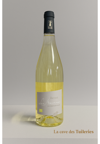 IGP COTEAUX DU PONT DU GARD LES MAURINES BLANC Domaine de la PATIENCE 75cl