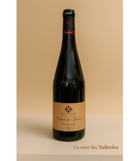 AOP SAVOIE MONDEUSE Rouge Graine de Terroir Domaine Jean Perrier et Fils 75cl