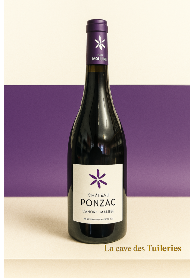 CHATEAU PONZAC 75CL
