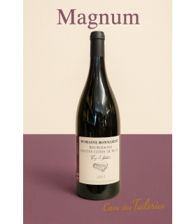 AOP Magnum Bourgogne Hautes Côtes de Nuits Rouge Coup de Foudre 150cl