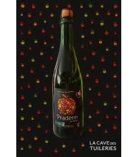 Ferme Adrak (35) CIDRE BIO DEMI SEC 75cl