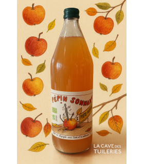 Jus de Pomme BIO PEPIN SONNANT Le P'tit Fausset (22) 75cl