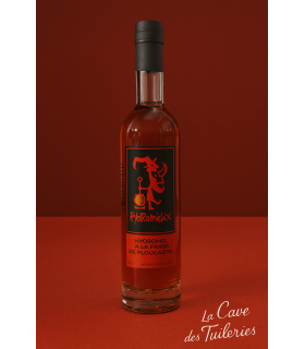 CHOUCHEN HYDROMELIX A LA FRAISE DE PLOUGASTEL FISSELIER 14.7% 50cl