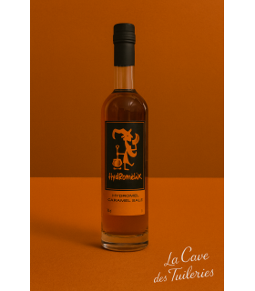 CHOUCHEN HYDROMELIX CARAMEL SALE FISSELIER 13.9% 50cl