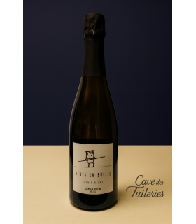 TOURAINE PET'NAT' FINES EN BULLES Blanc effervescent Damien Pinon 75cl