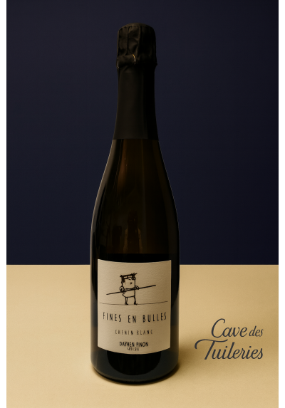 TOURAINE PET'NAT' FINES EN BULLES Blanc effervescent Damien Pinon 75cl