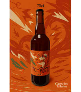 BIÈRE VIEUX SINGE EN PLEINE TEMPÊTE  75CL
