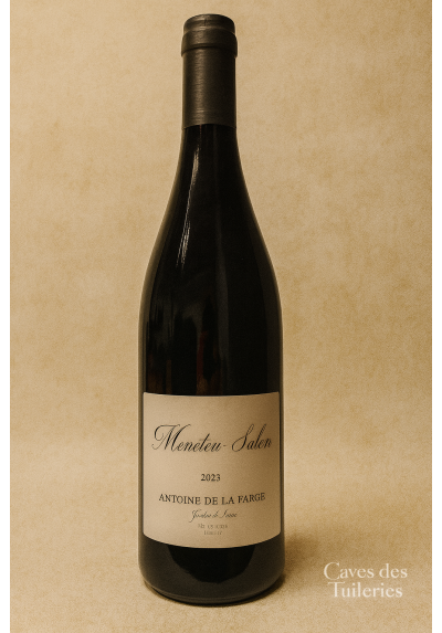 MENETOU SALON ROUGE Antoine de la Farge 75cl