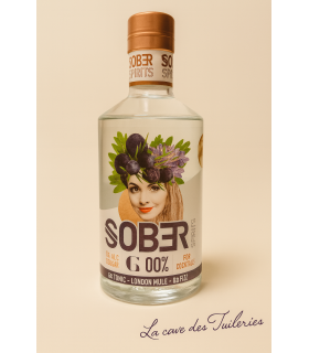 GIN ALTERNATIVE SOBER ZERO ALCOOL