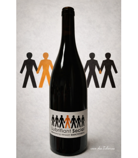 AOP VDF LUBRIFIANT SOCIAL (Merlot, Cabernet) Rouge 75cl