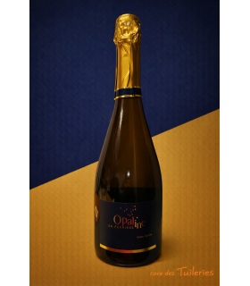 Méthode Traditionnelle Brut Blanc Cuvée Bastien VINCENT LOIRET 75cl