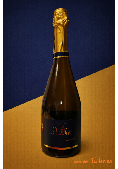 Méthode Traditionnelle Brut Blanc Cuvée Bastien VINCENT LOIRET 75cl