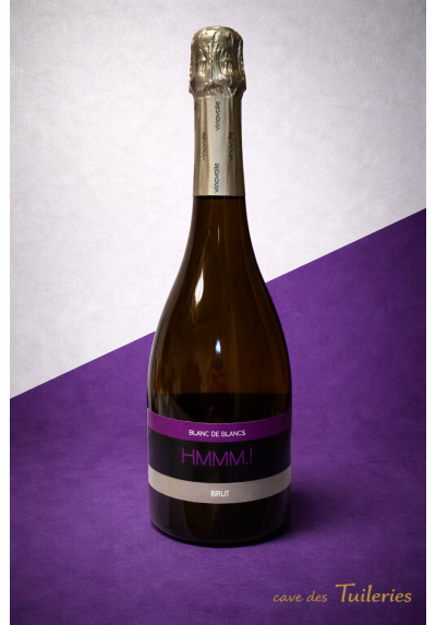 HMMM.. METH GAILLAC BLC DE BLC BRUT