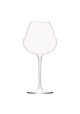 VERRE OENOMUST 42CL