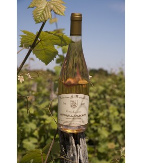 CTX VENDOMMOIS GRIS ROSE 75CL MARTELLIERE