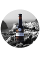 TERENEZ BIERE BRUNE 33CL