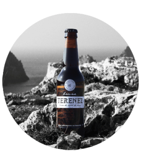 TERENEZ BIERE BRUNE 33CL