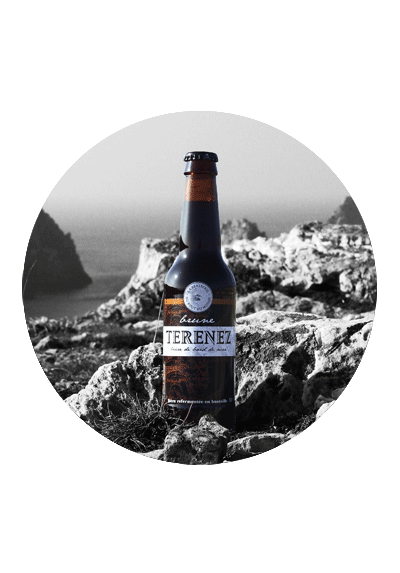 TERENEZ BIERE BRUNE 33CL