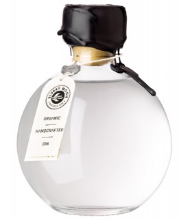 GIN BLURRY MOON GIMET 50CL