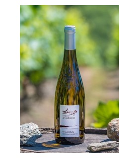 AOP COTEAUX D'ANCENIS BLANC "MALVOISIE" 75CL DEMI SEC DOMAINE DES GALLOIRE