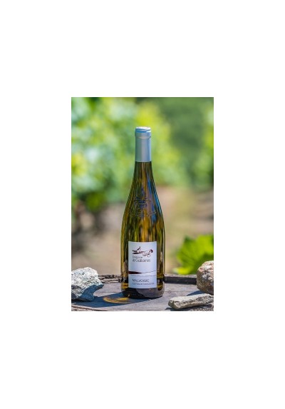 AOP COTEAUX D'ANCENIS BLANC "MALVOISIE" 75CL DEMI SEC DOMAINE DES GALLOIRE